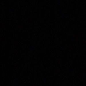 Meet your Posher, Audrey